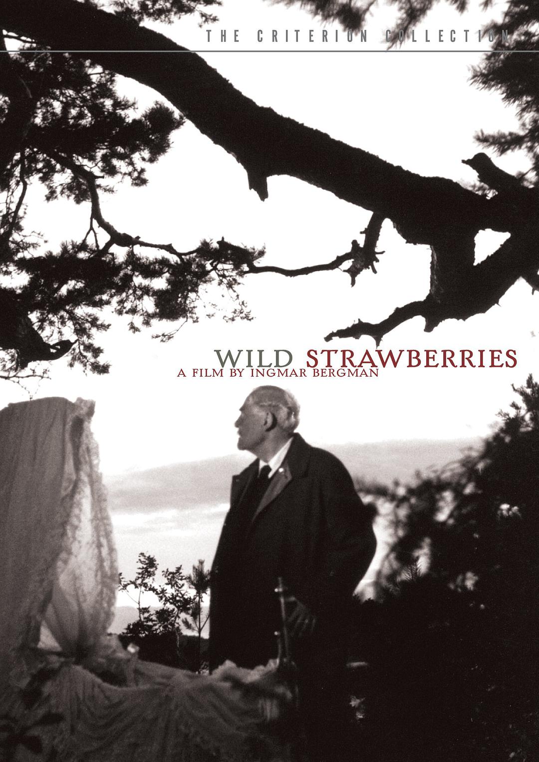 野草莓 蓝光原盘下载+高清MKV版/Wild Strawberries 1957 Smultronstället 16.1G
