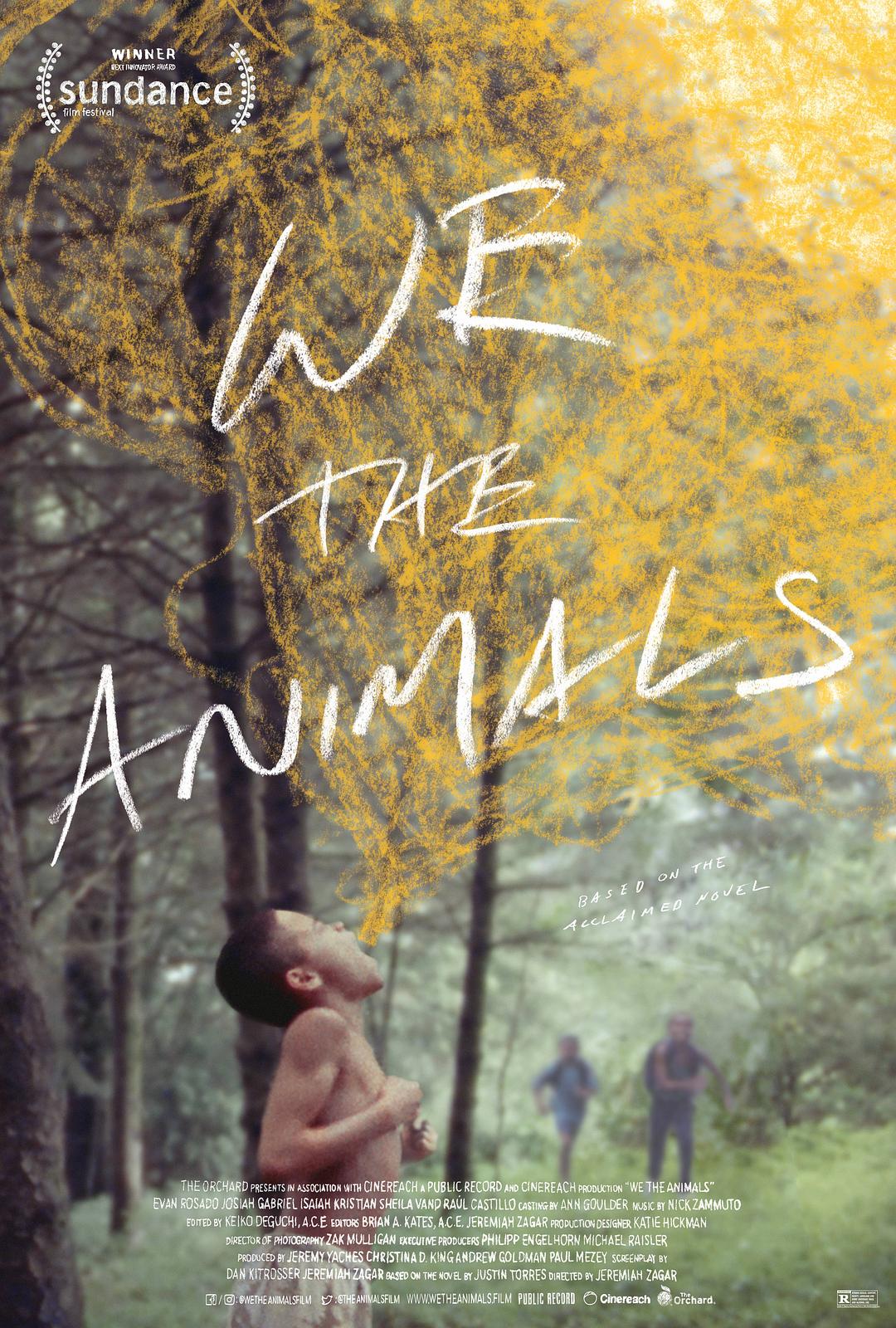 我们，动物 蓝光原盘下载+高清MKV版/我们这些动物 2018 We the Animals 20.8G
