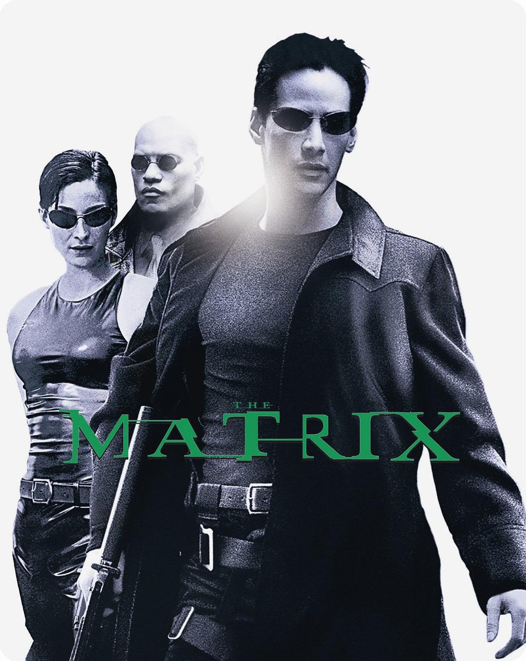 黑客帝国 4K蓝光原盘下载+高清MKV版/ 22世纪杀人网络(港) / 骇客任务(台) 1999 The Matrix 62G
