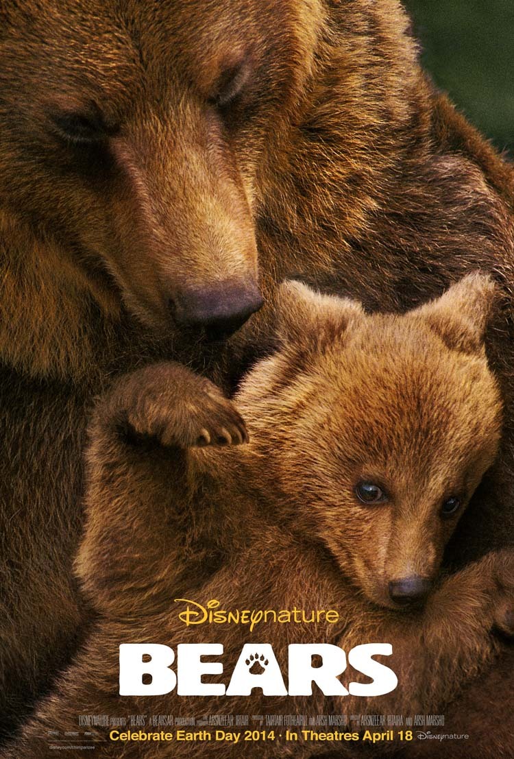 2014年 阿拉斯加的棕熊 熊世界 蓝光高清下载 [迪士尼子公司又一力作] 19G