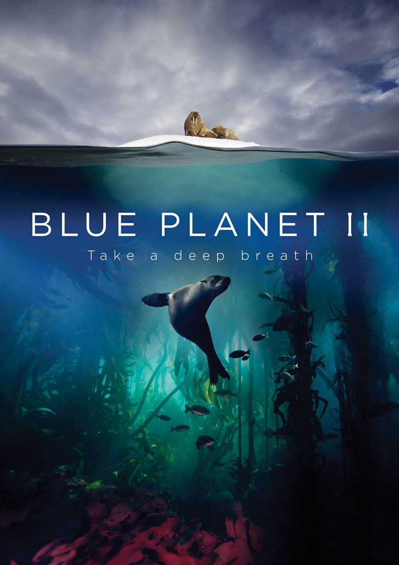 蓝色星球2 4K蓝光高清版下载/ 蓝色星球 第二季 2017 Blue Planet II 151G